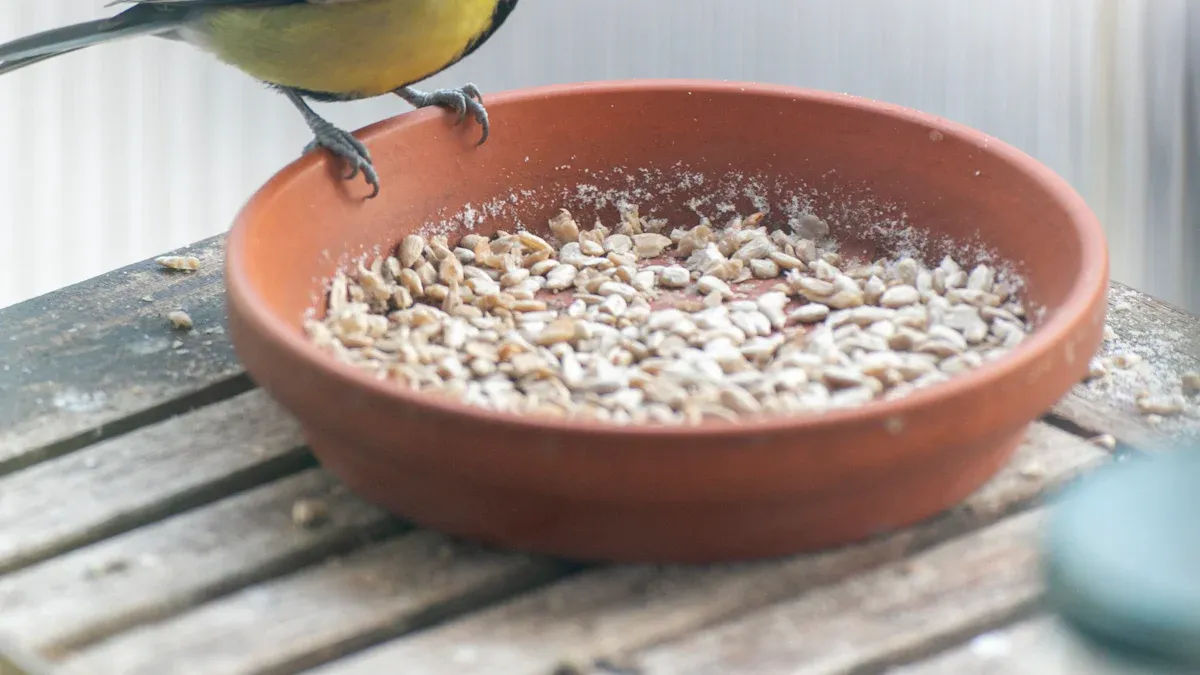 Nutritional Benefits of Dried Mealworms