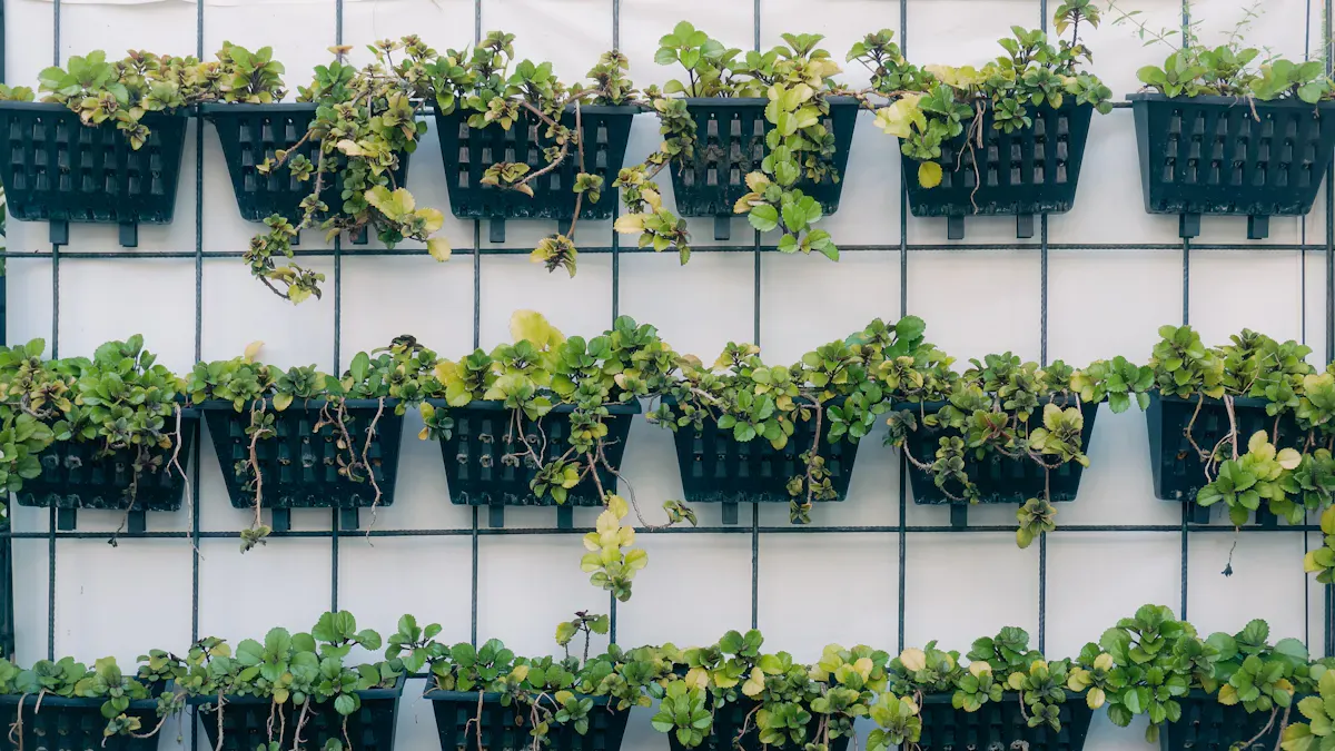 Implementing Hanging Strawberry Systems in Greenhouses