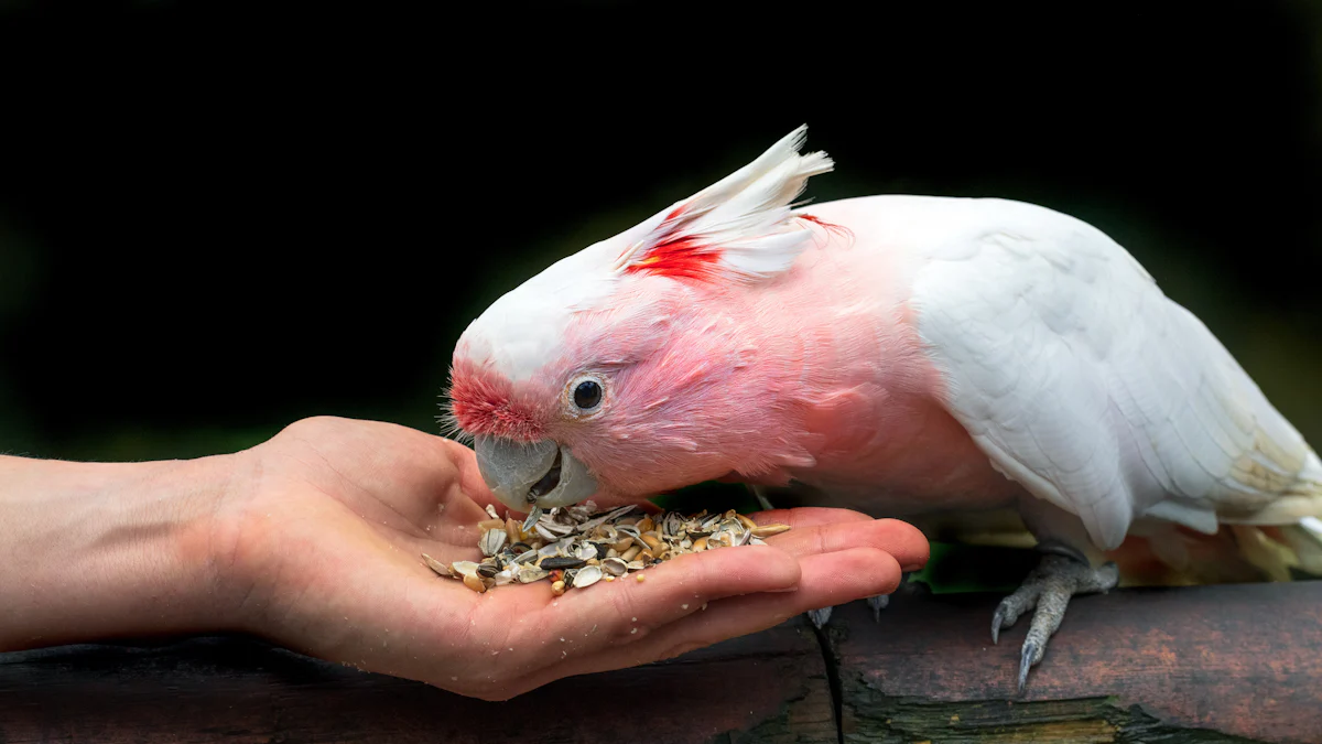 Step-by-Step Guide to Rehydrating Mealworms for Birds