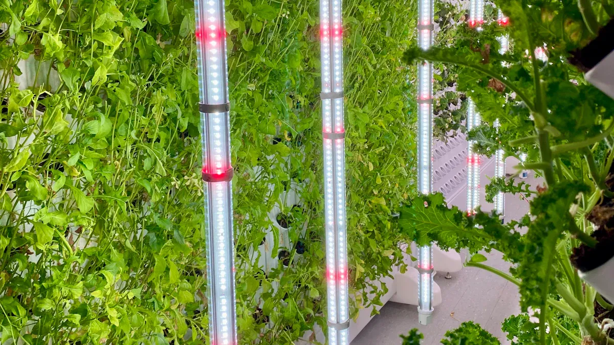 How does vertical farming enhance yield in limited spaces with a hydroponic system?
