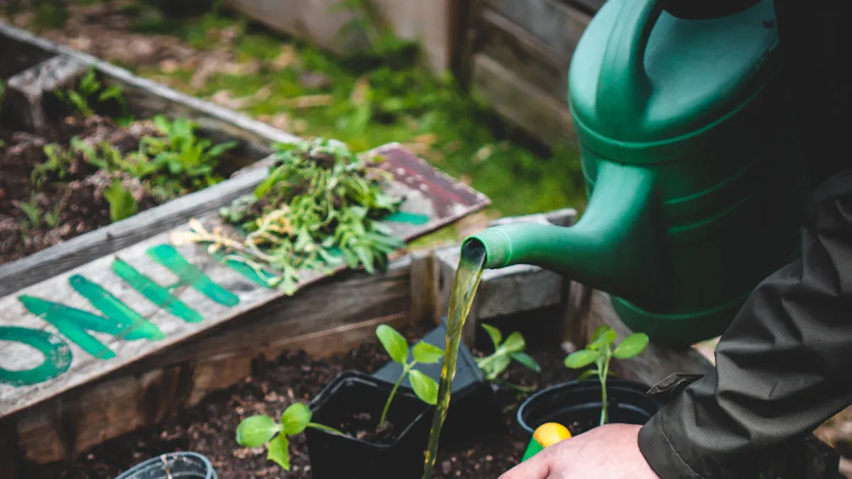 Starting Your Garden Online A Step-by-Step Supply Guide