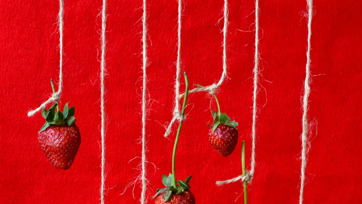 Benefits of Hanging Strawberry Systems