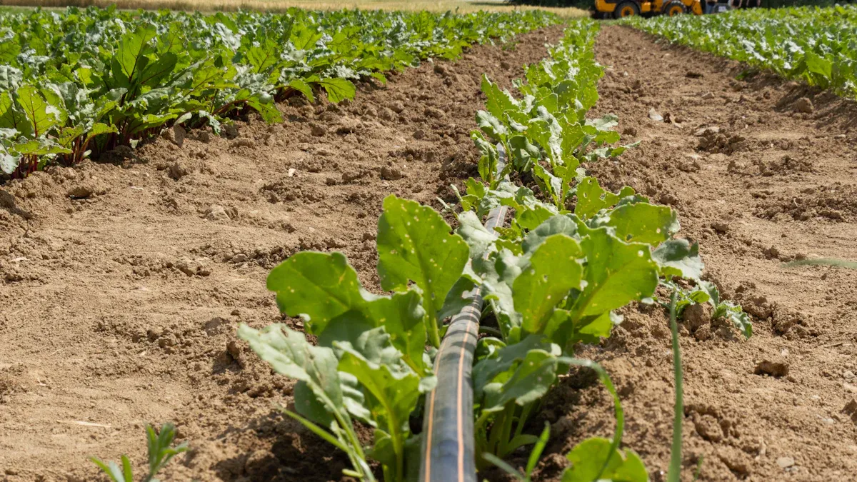 Outils d'arrosage pour potagers