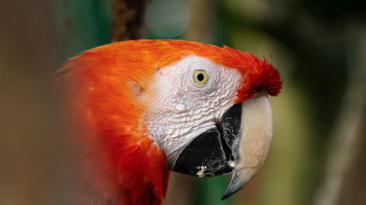 Dried Mealworms for Parrots: Unique Benefits and Nutrition
