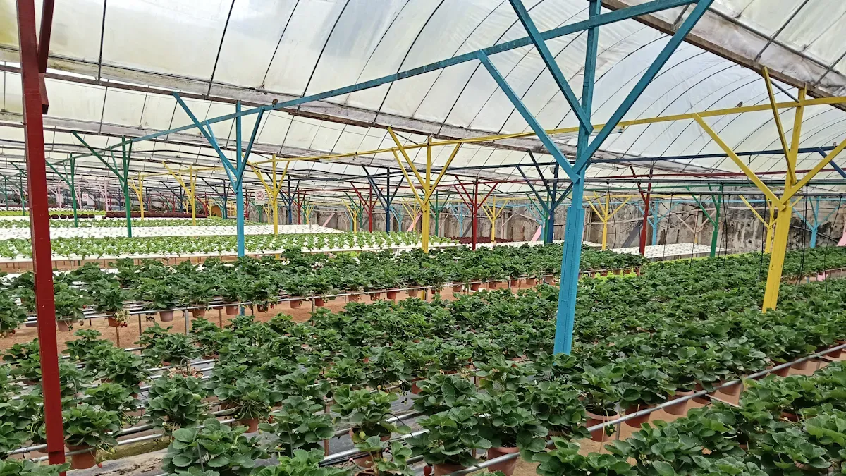 Types of Greenhouse Cover Materials