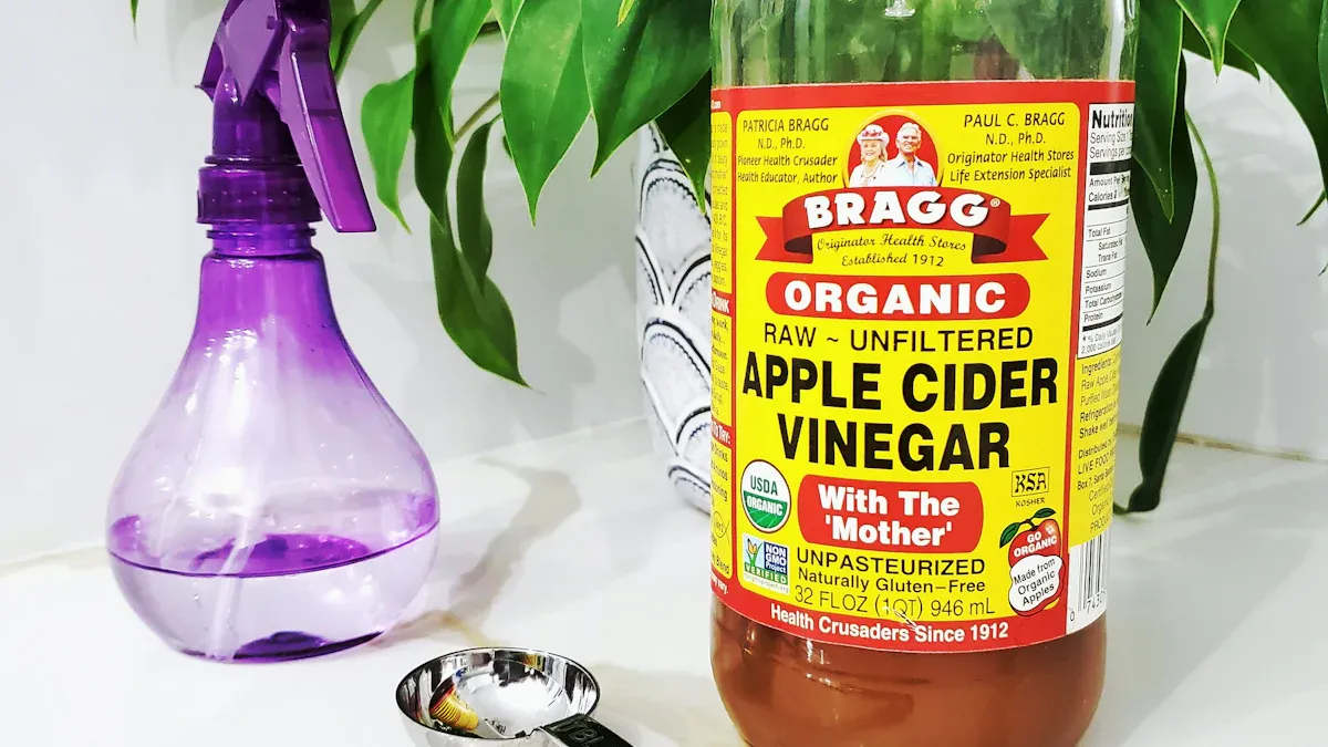 The Vinegar Sprayer: Adding Tang and Flavor to Dishes
