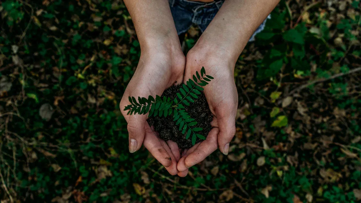 Sustainable Sourcing: Eco-Friendly Mother Jumbo Roll for Green Packaging Solutions