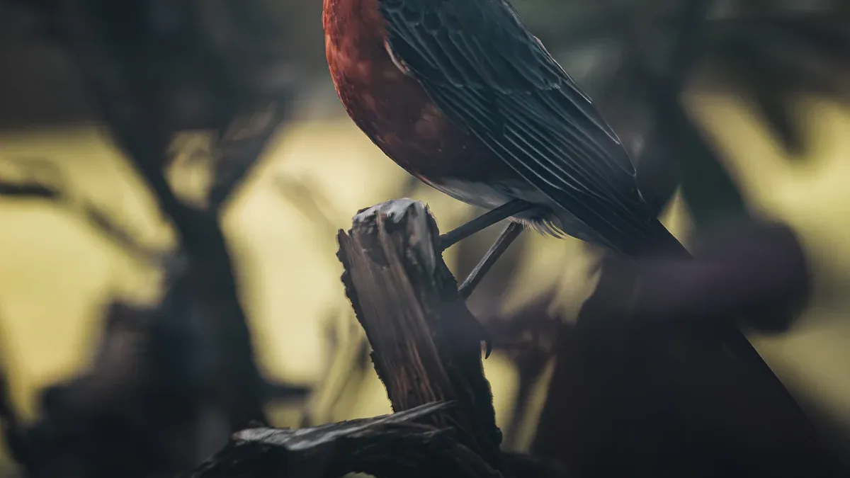 Dried Calci Worms The Ultimate Bird Nutrition Solution
