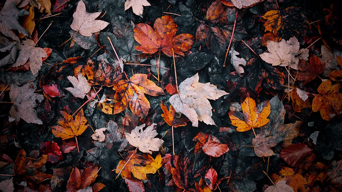 Understanding Seasonal Trends