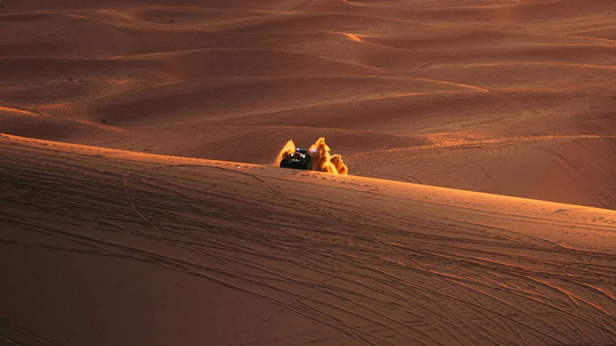 د خپل لوډر غوښتنلیک او چاپیریال وپیژنئ