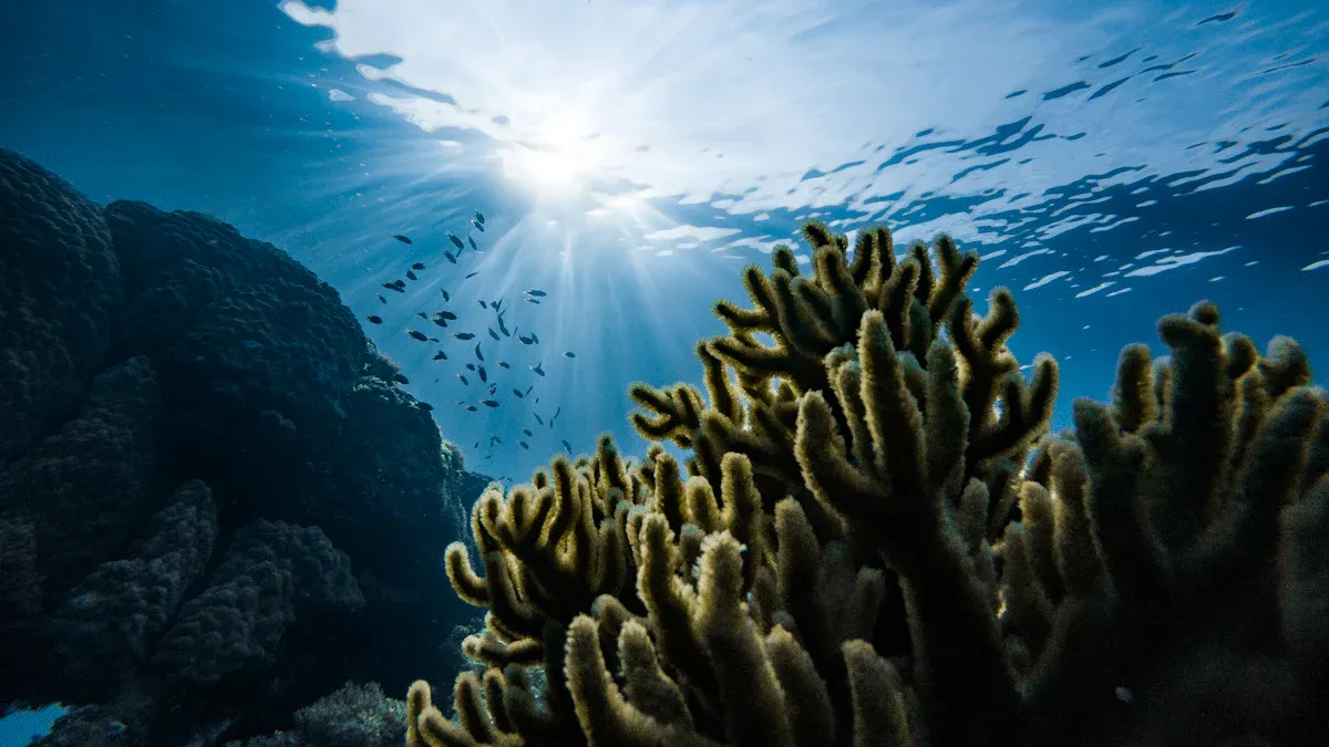 Top Reasons Fish Meal Production Systems Contribute to Biodiversity Loss