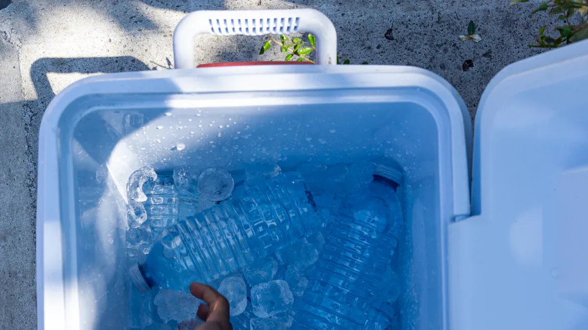 Is Portable 8L Cooler Box 12V or 220V Better for Camping