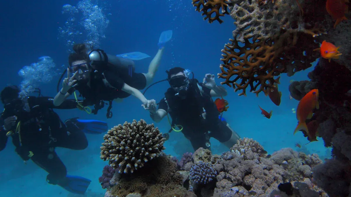 Understanding Gulf Environmental Challenges for Scuba Fabric