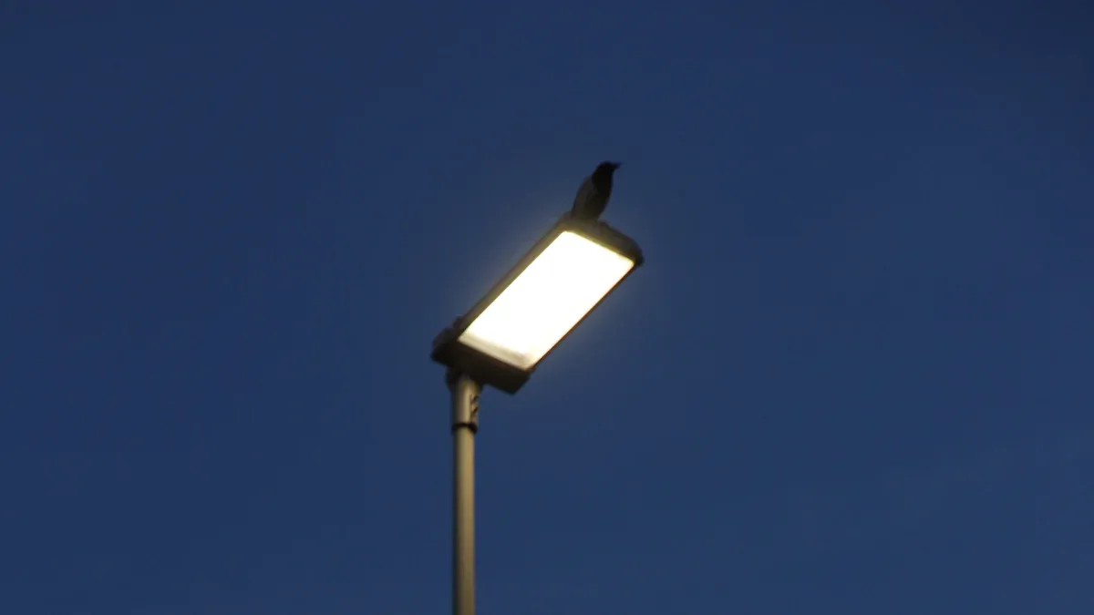 Solar-Powered Outdoor Lighting Solutions