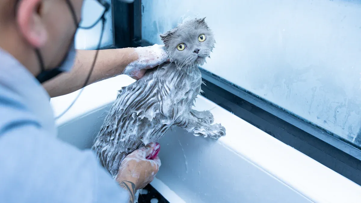 Clean Your PET AUTOMATIC FEEDER Regularly