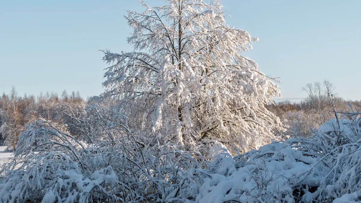 Consumer Preferences in Winter
