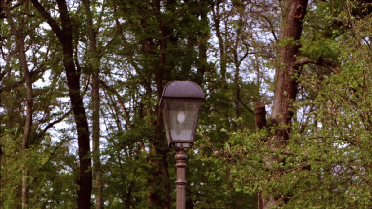 Parks and Recreational Areas