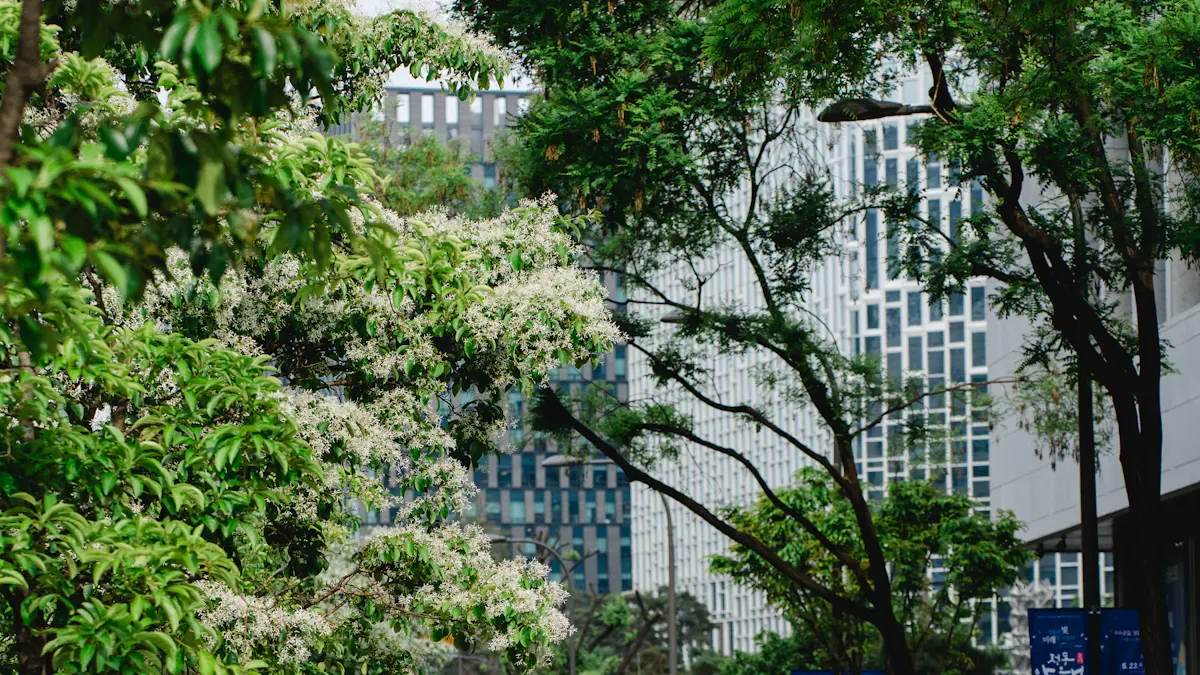 Urban