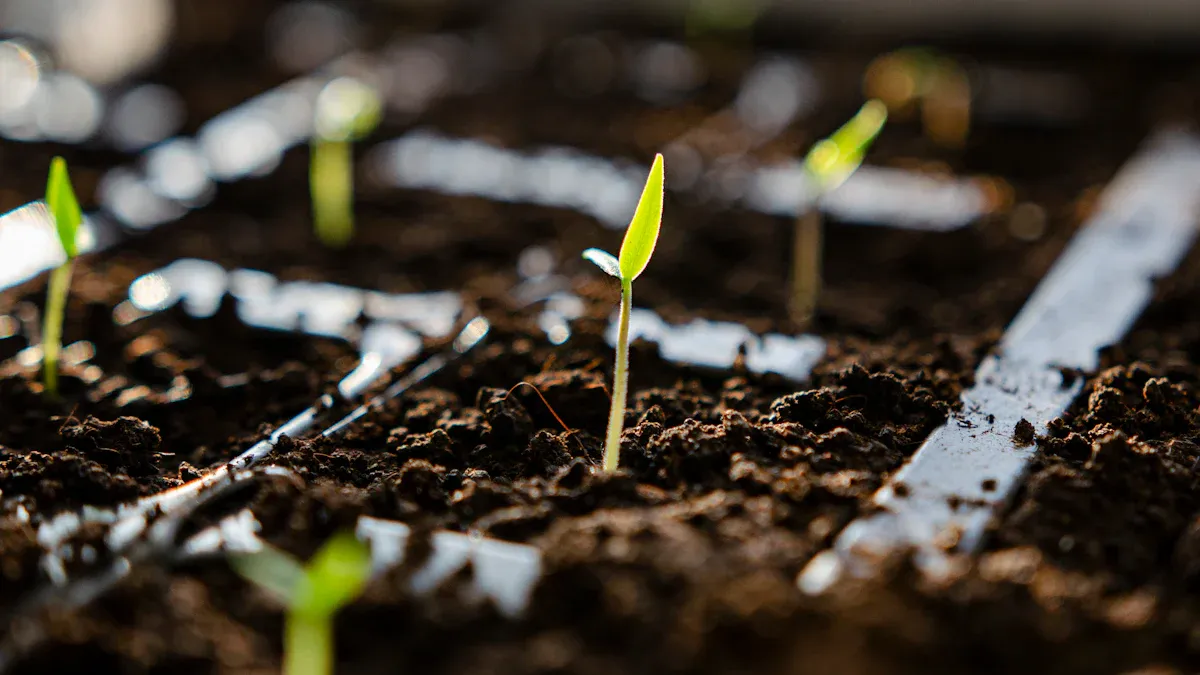 Industry Trends in Nitrogen Generation