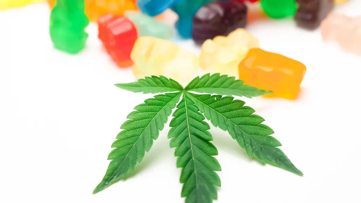Best Edibles Washington State Has to Offer: A Local’s Guide to Delicious Relief
