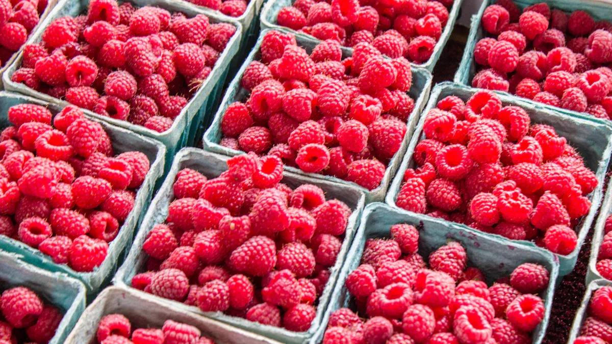 Los Mejores Comestibles de Michigan: Potencia y Sabor Inigualables