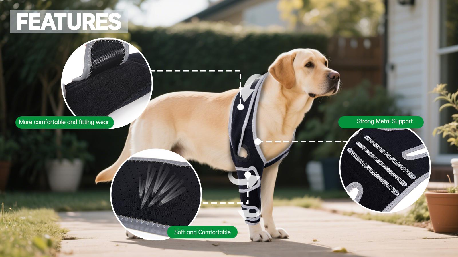 A Comprehensive Comparison of 5 Dog Knee Braces