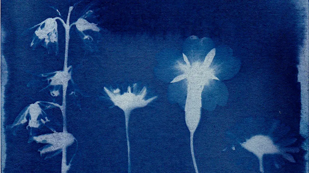 Innovative Techniques in Green Printmaking: A Look at Sustainable Practices