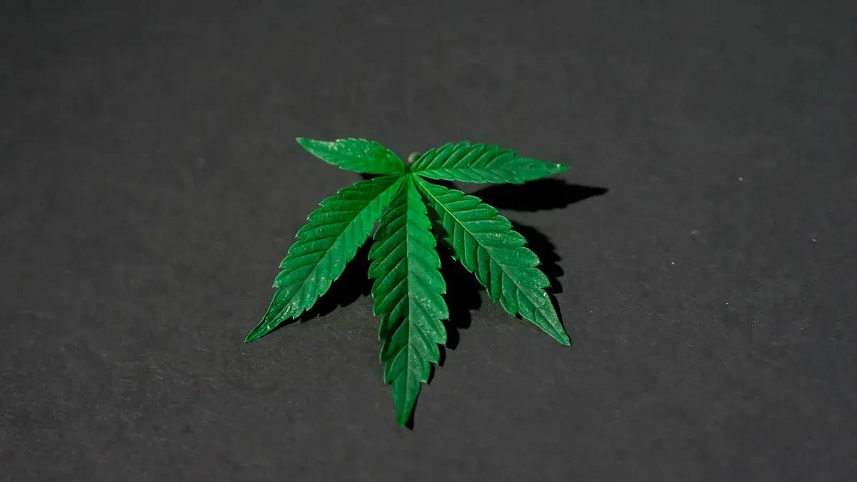 How to Celebrate 710 Day