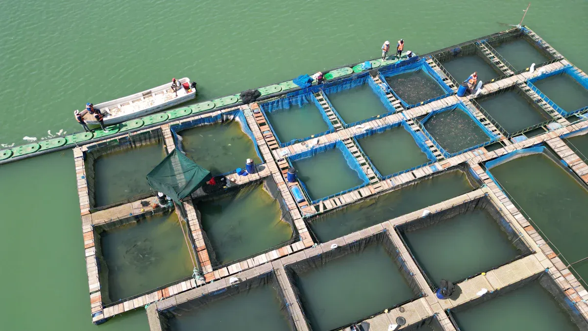 Oxygen Generator Aquaculture Systems