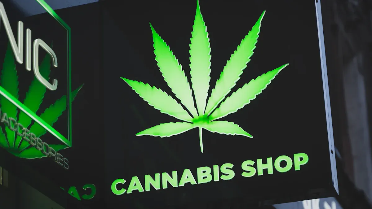 Find Your Next Favorite Smoke Shop: Top 10 Trendiest Picks