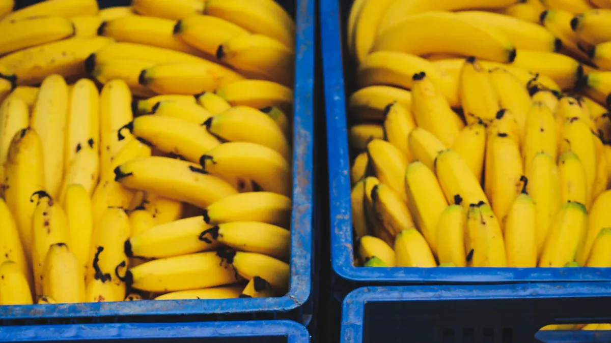 Melt Pack Man Apples and Bananas: The Flavor That Hooks You First