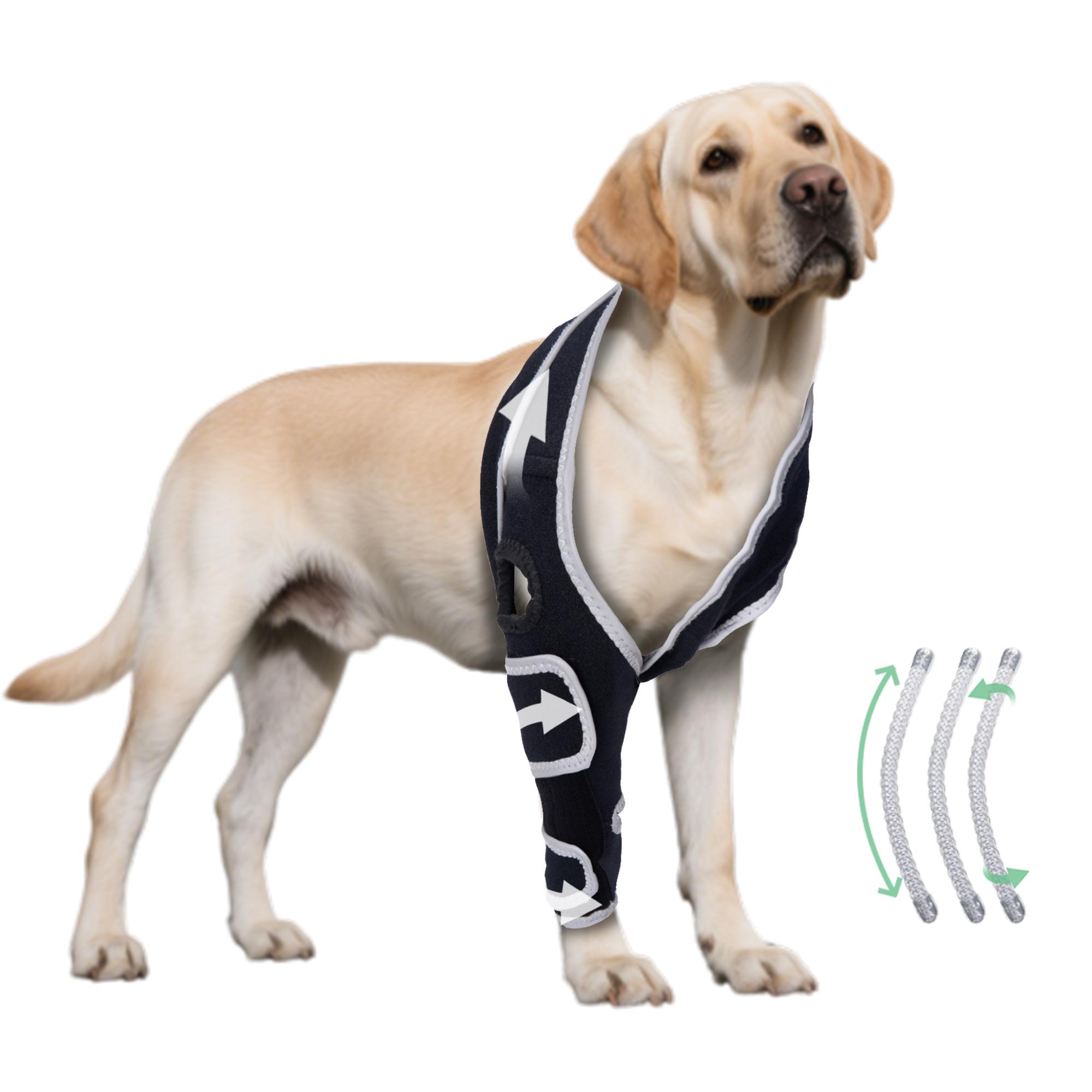 Dog Front and Back Leg Knee Braces for ACL Tears
