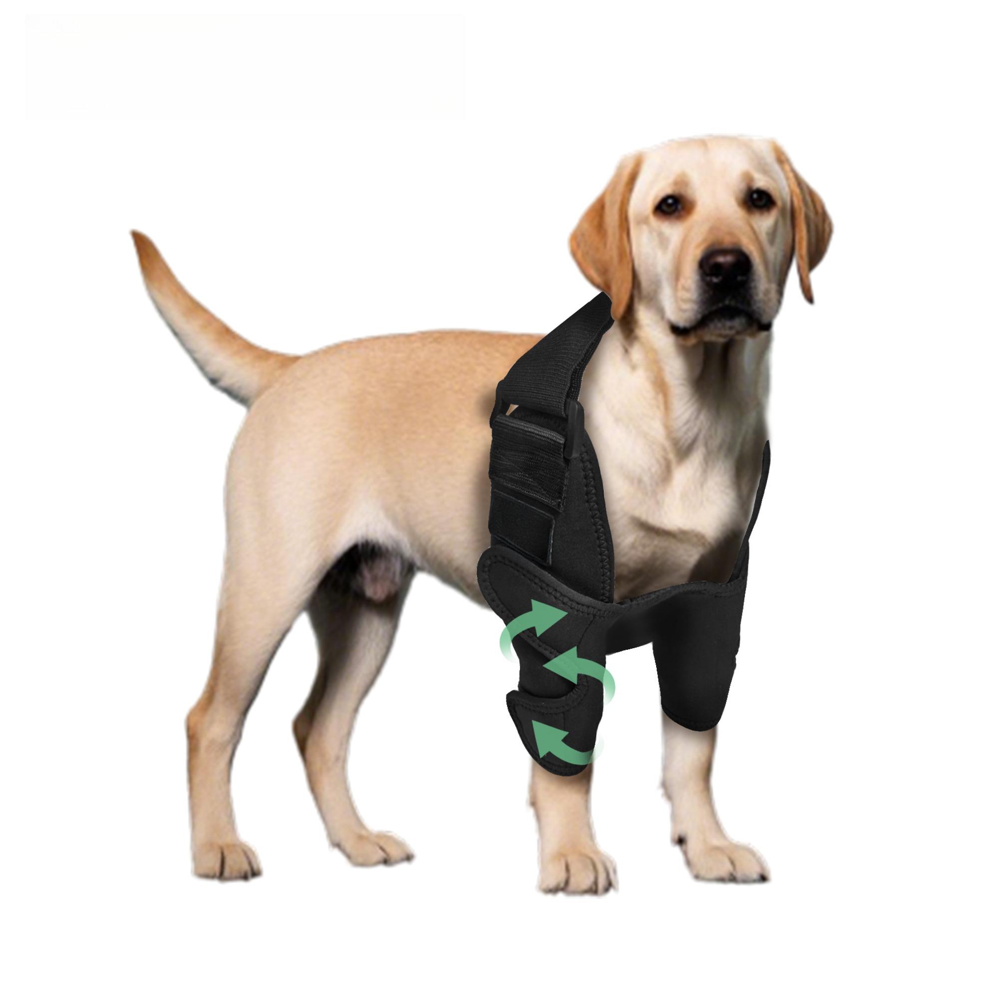 Double Front Elbow Arthritis Knee Braces for Dogs