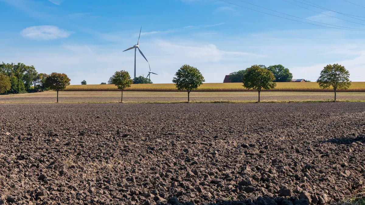 The Role of Oxygen in Biogas Production