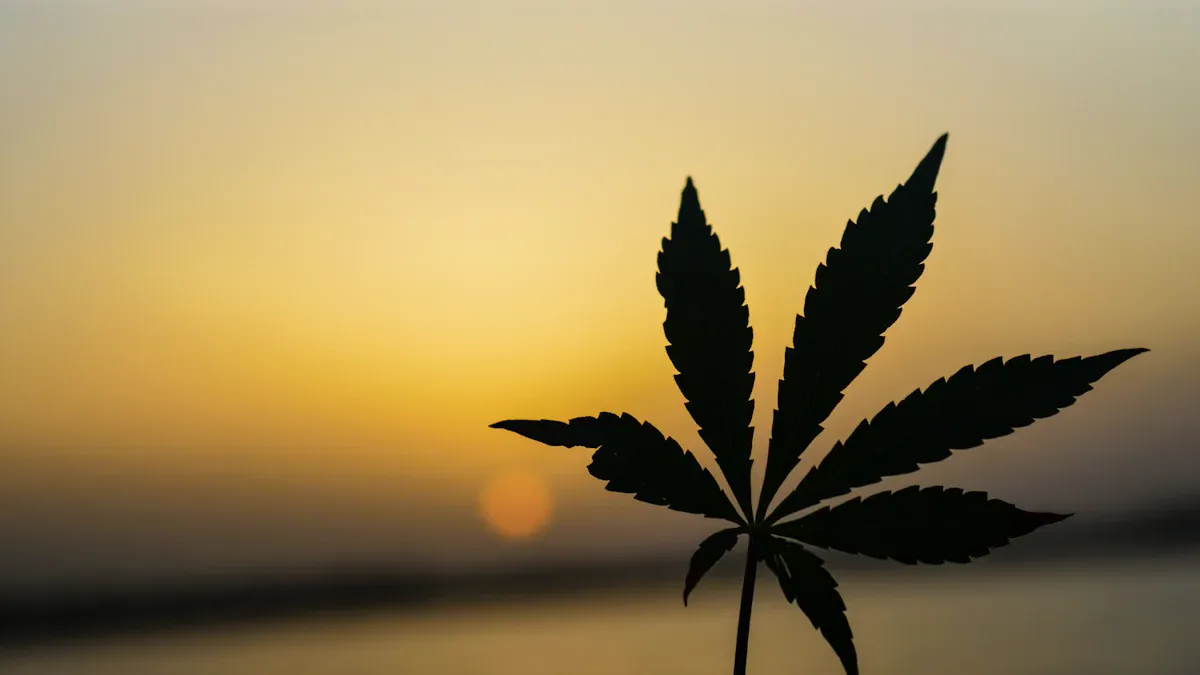 How Long Does thc vape stay in body longer reddit