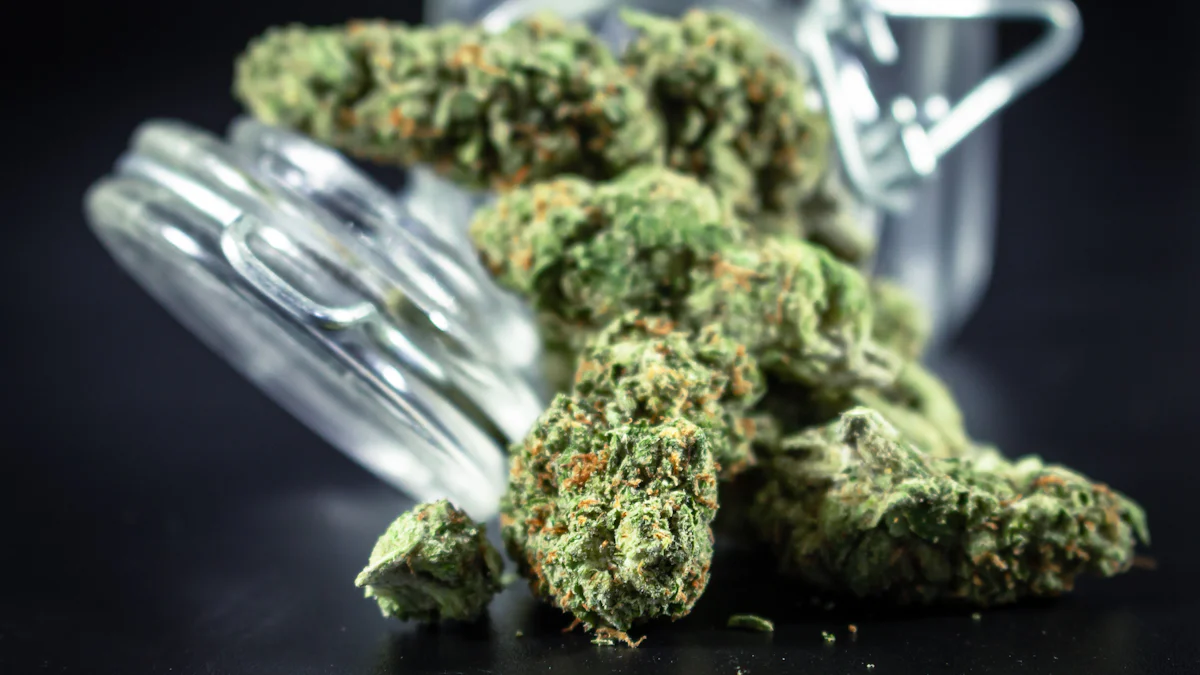 Effects of THC-P