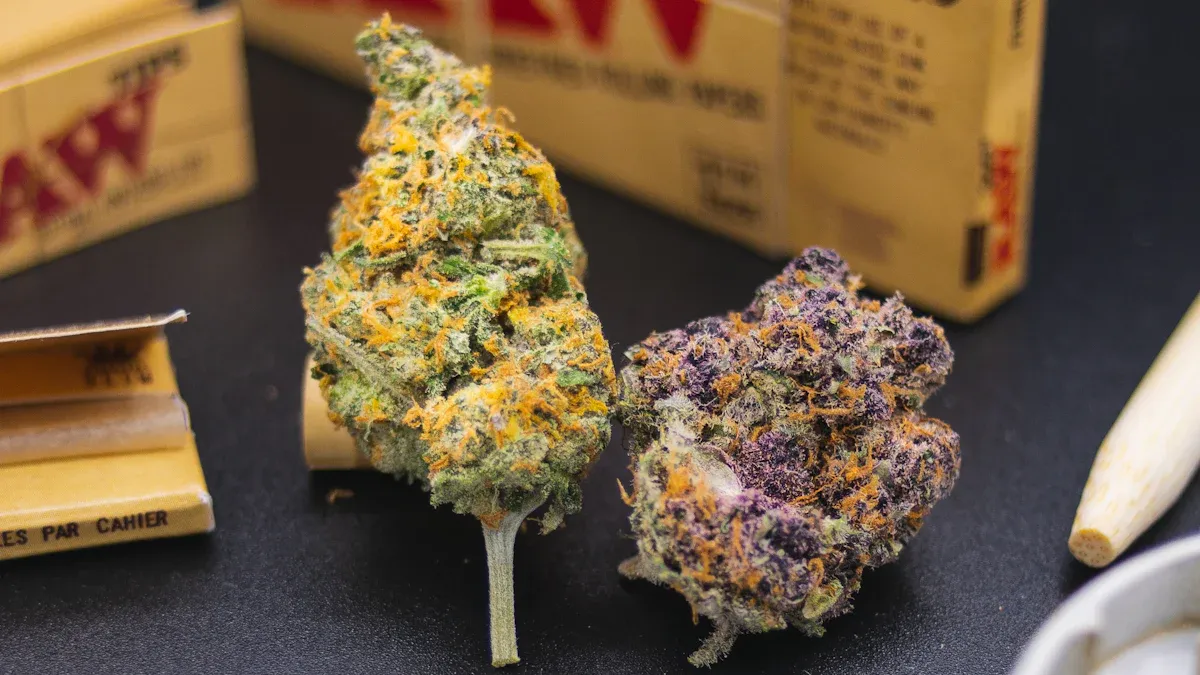 Top 10 Cannabis Brands of 2025