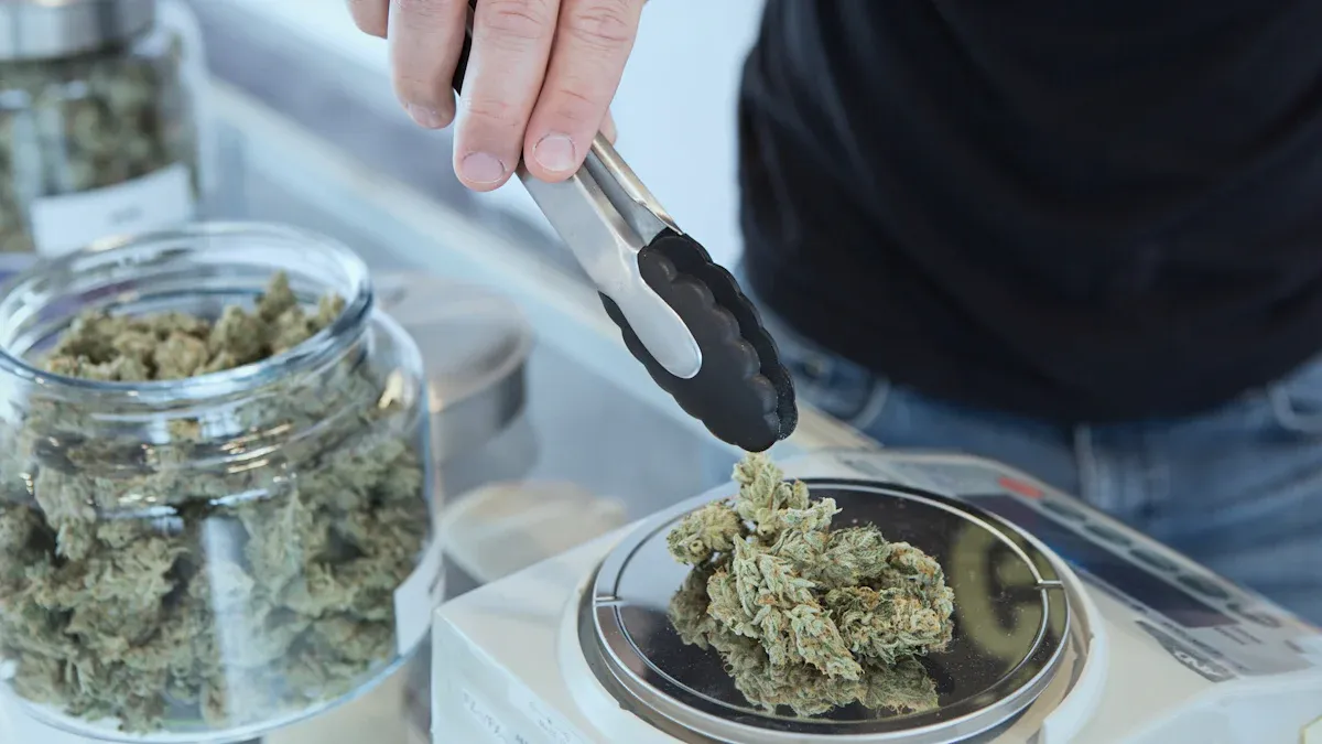 What You Need to Know About Dispensary THC USA