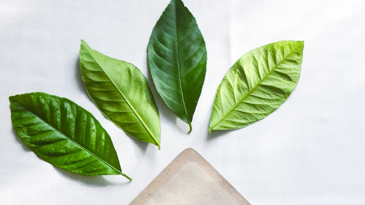 Eco-Friendly Aspects