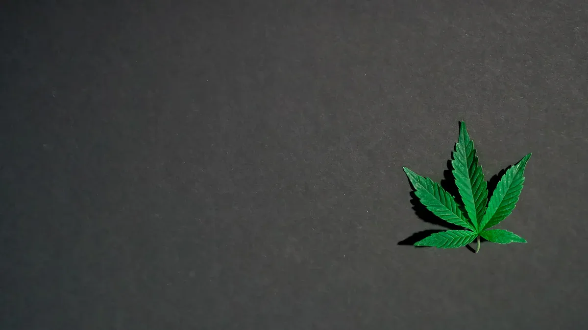 The Origins of 710 Day