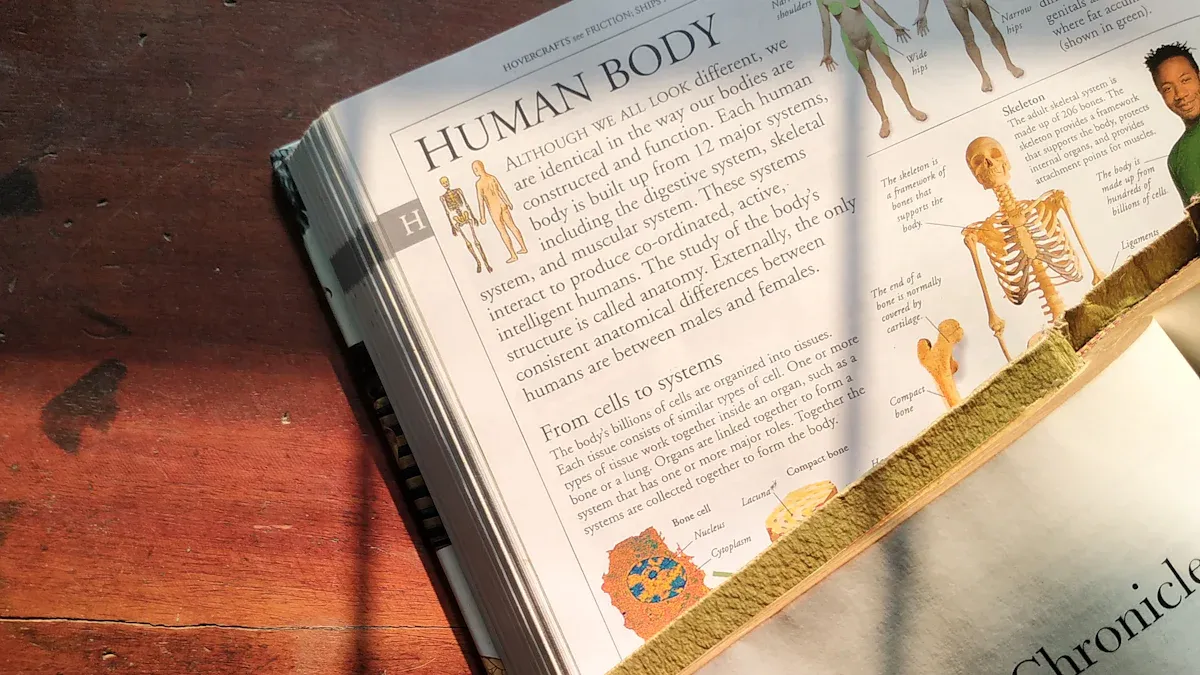 Comparing 11 x 17 paper options