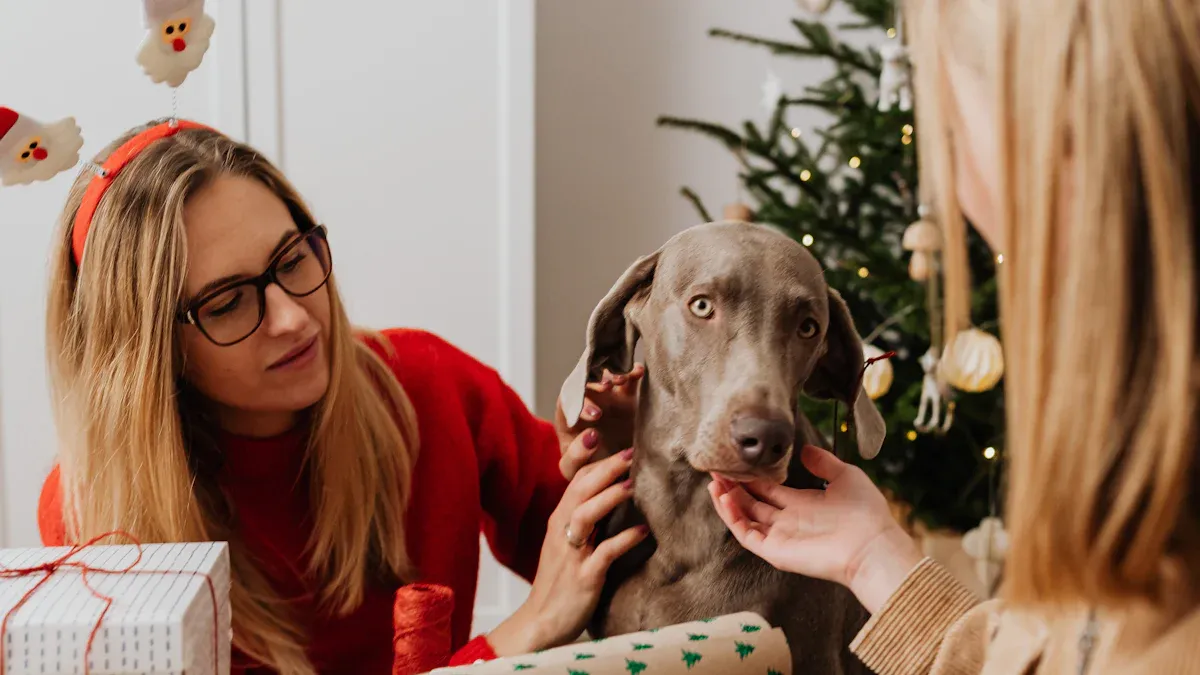 Best Gifts for Dogs