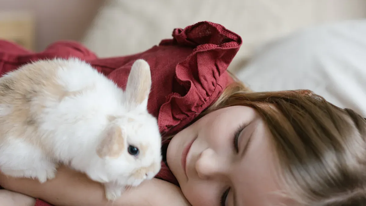 Why Dress Your Rabbit