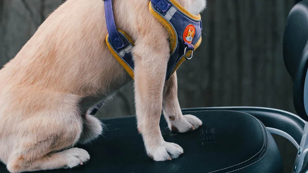 adjustable harness dog movement check during a real walk