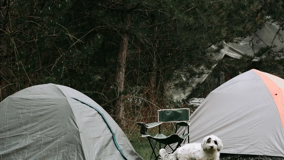 Dog resting inside a well-ventilated portable pet tent with open mesh sides