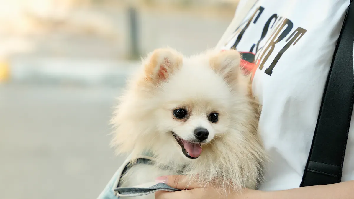 Dog secured in a deep sling carrier with adjustable opening