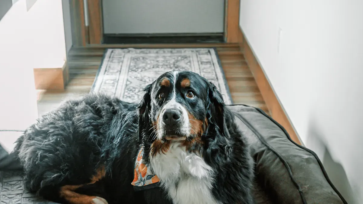 Close-up of an elevated dog bed frame showing corner joint and mesh tension