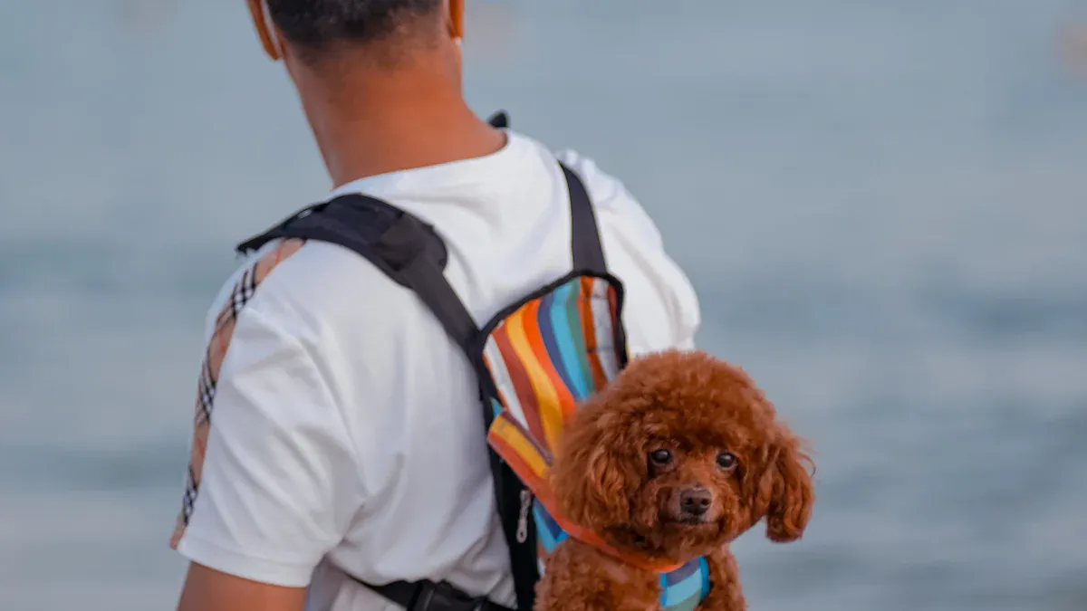 Dog sitting comfortably inside a structured backpack carrier
