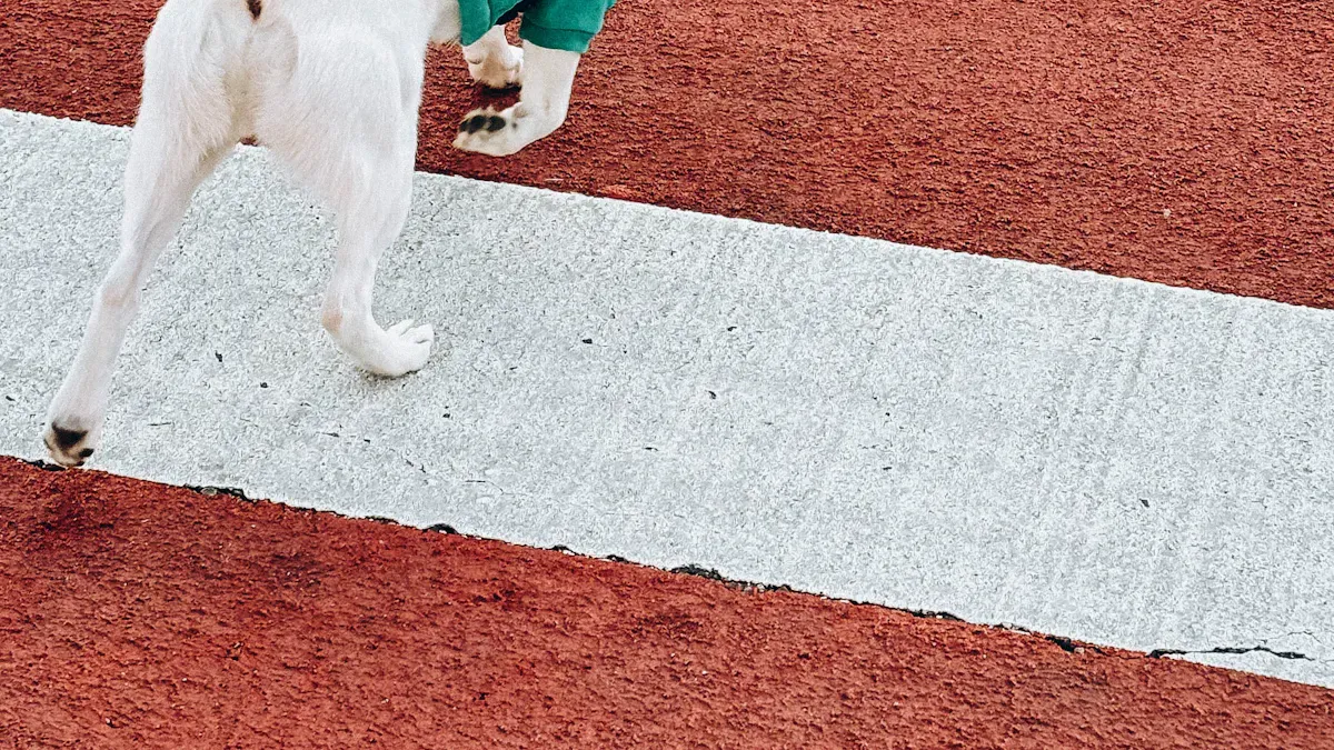 Runner and dog moving through a changing route