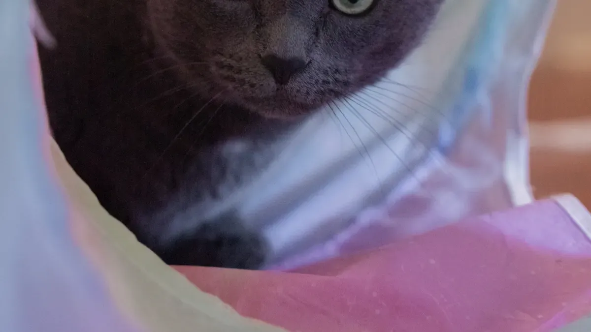 Four-side tunnel cat bed with open entry design